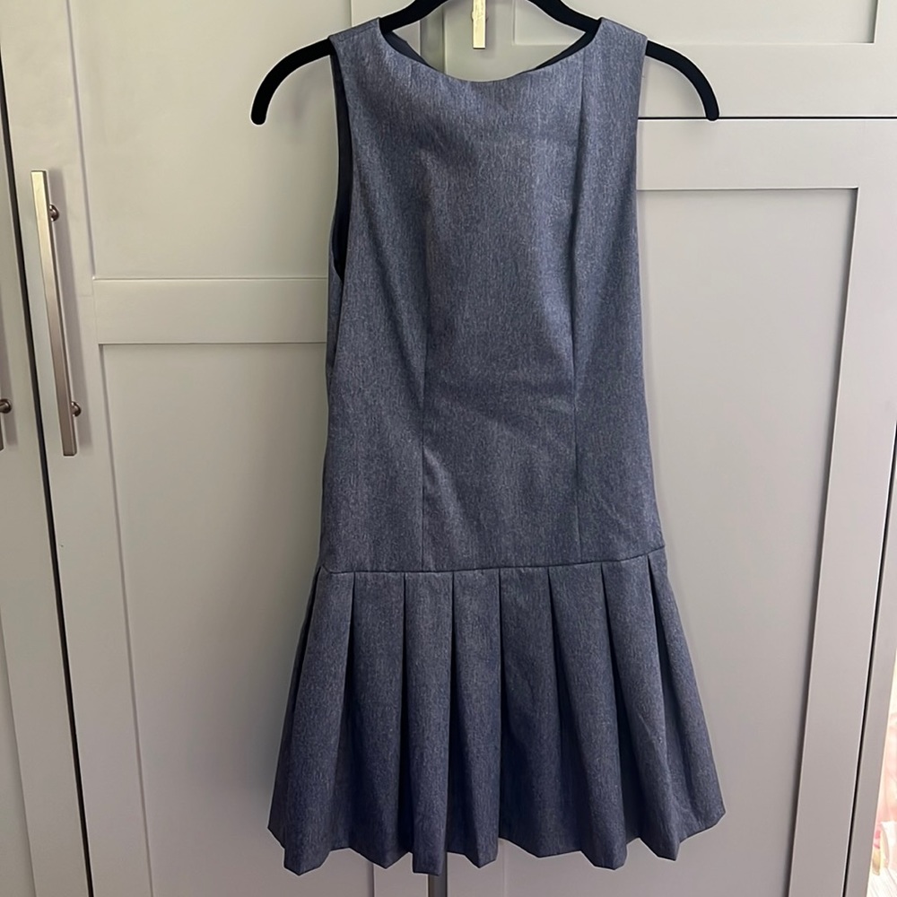 Alice and Olivia Women's Blue Harper Dropwaist Pleated Dress. Size 0